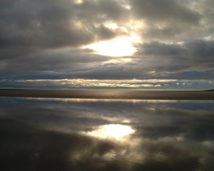 DSCF0380