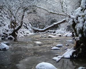 DSCF0721